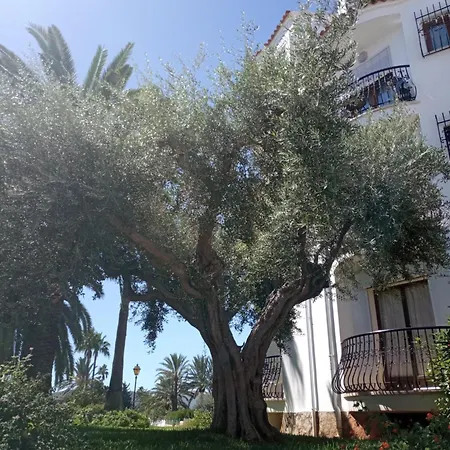 Estudio Alfil-piscina Appartement Dénia